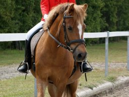 2012 Sommerturnering